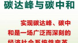 做好科技支撑“双碳”工作 科技部等九部门印发最新...